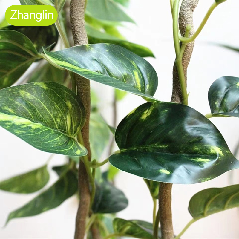 ต้นไม้ประดิษฐ์ ใบไม้สีเขียว ไม - Monstera Adansonii บทวิจารณ์และราคา