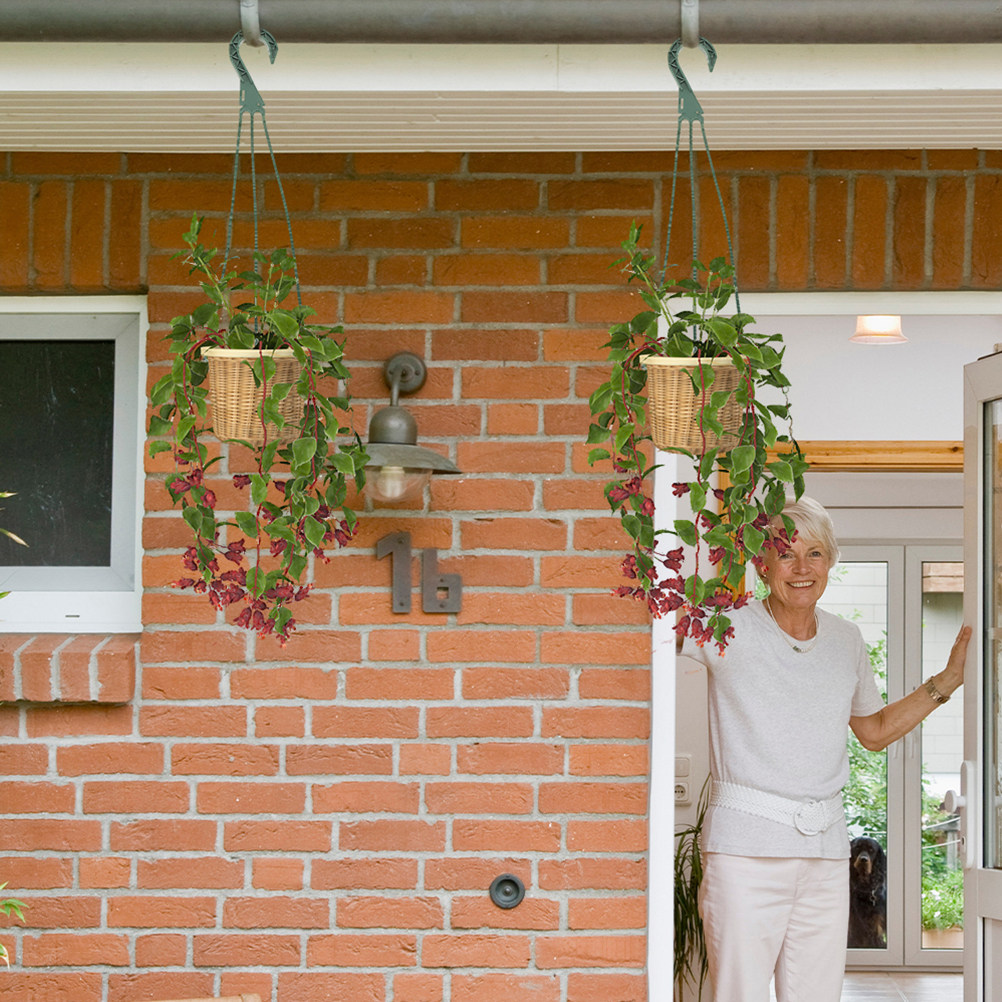 ตะขอแขวนกระถางต้นไม้ 5 ชิ้น อเ - Spider Plant Hanging บทวิจารณ์และราคา