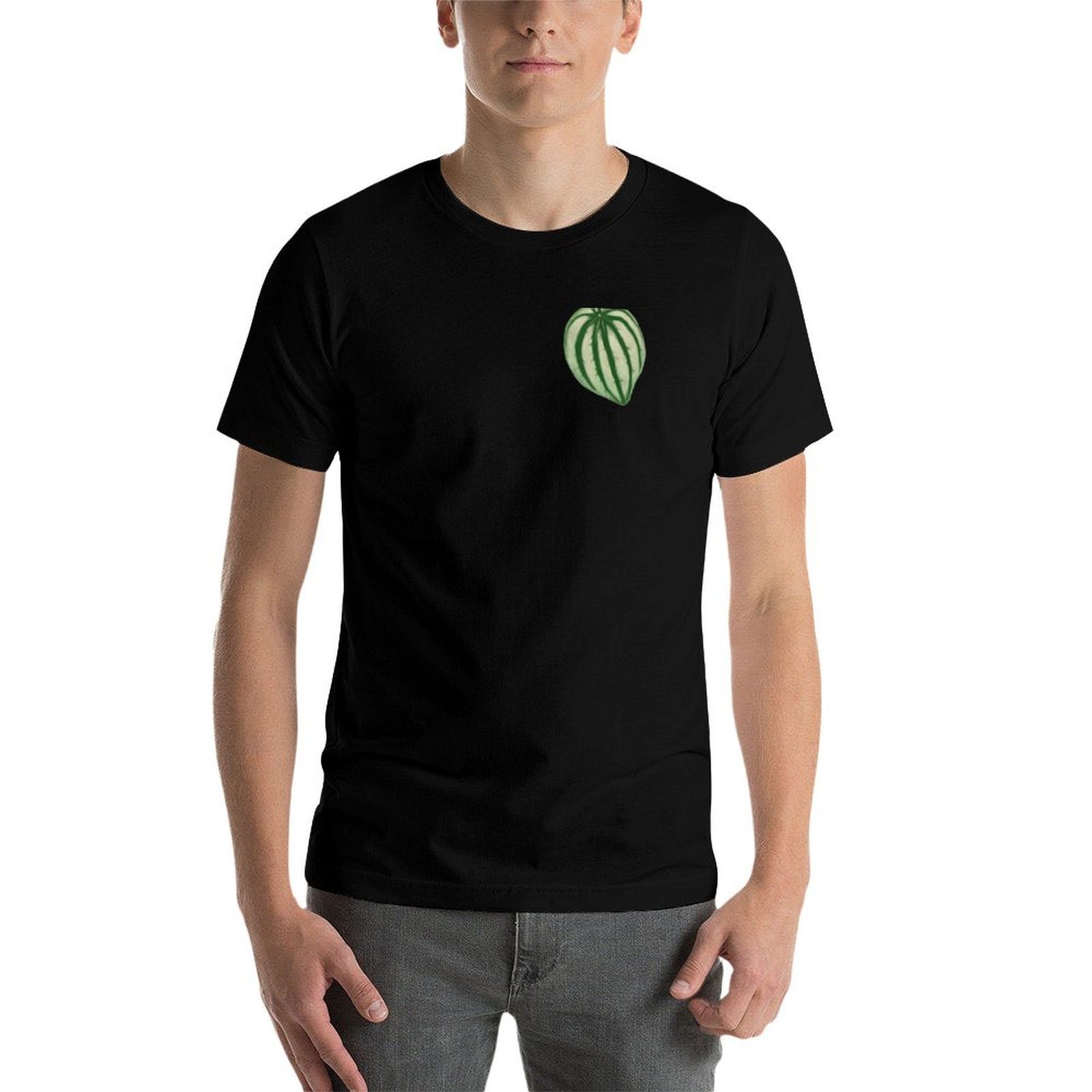 เสื้อยืดลายแตงโมและพีเปอร์โอมิ - Peperomia Watermelon บทวิจารณ์และราคา